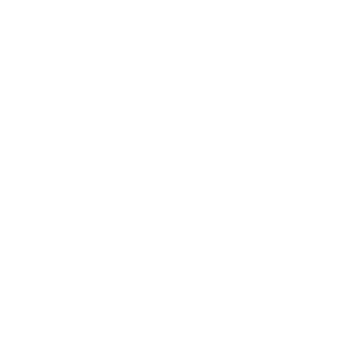 Celle Assets Corporate