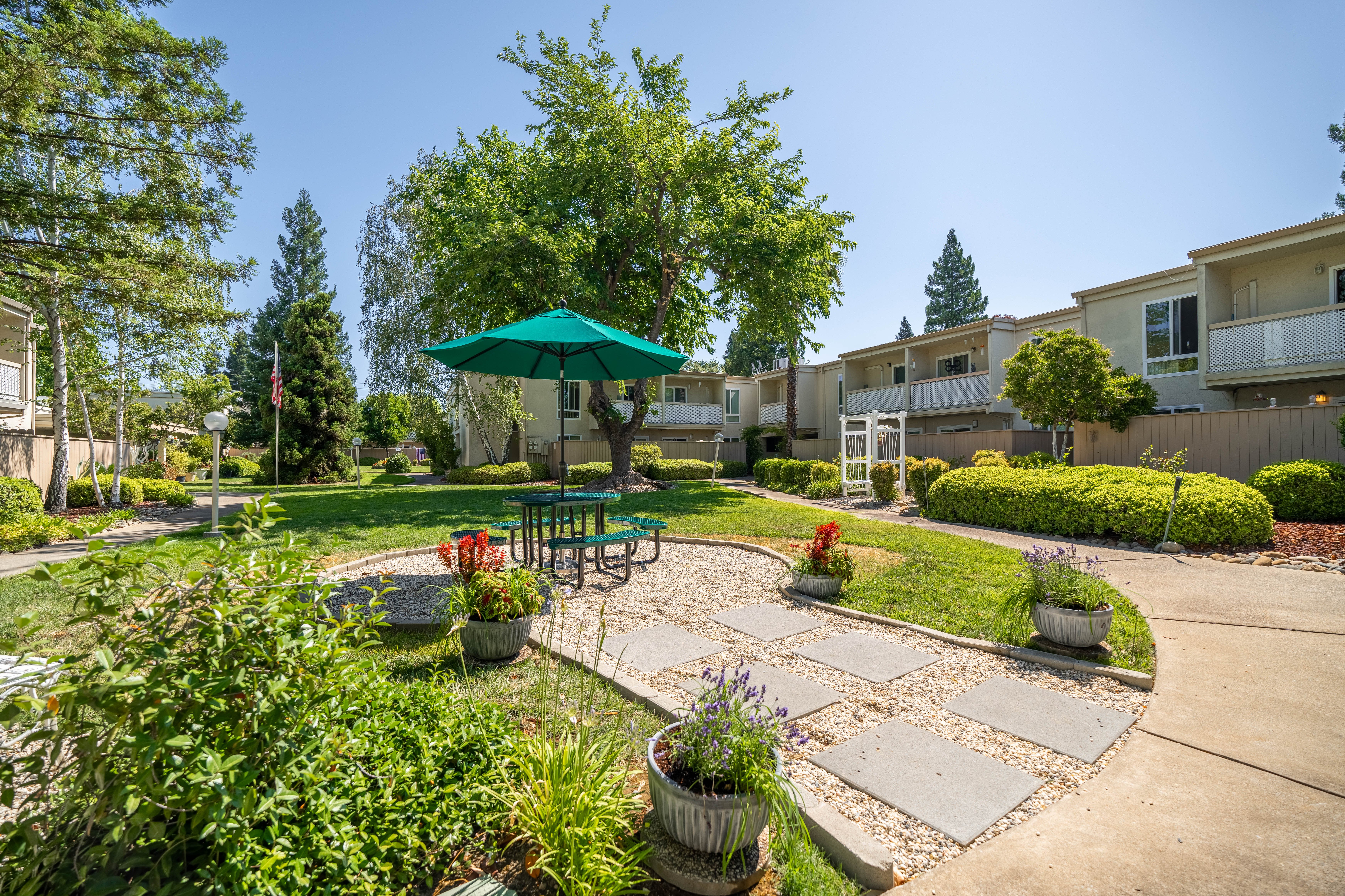 Del Dayo - Backyard, Nature, Outdoors