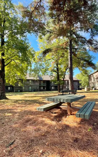 Seasons - Tree, Bench, Grass