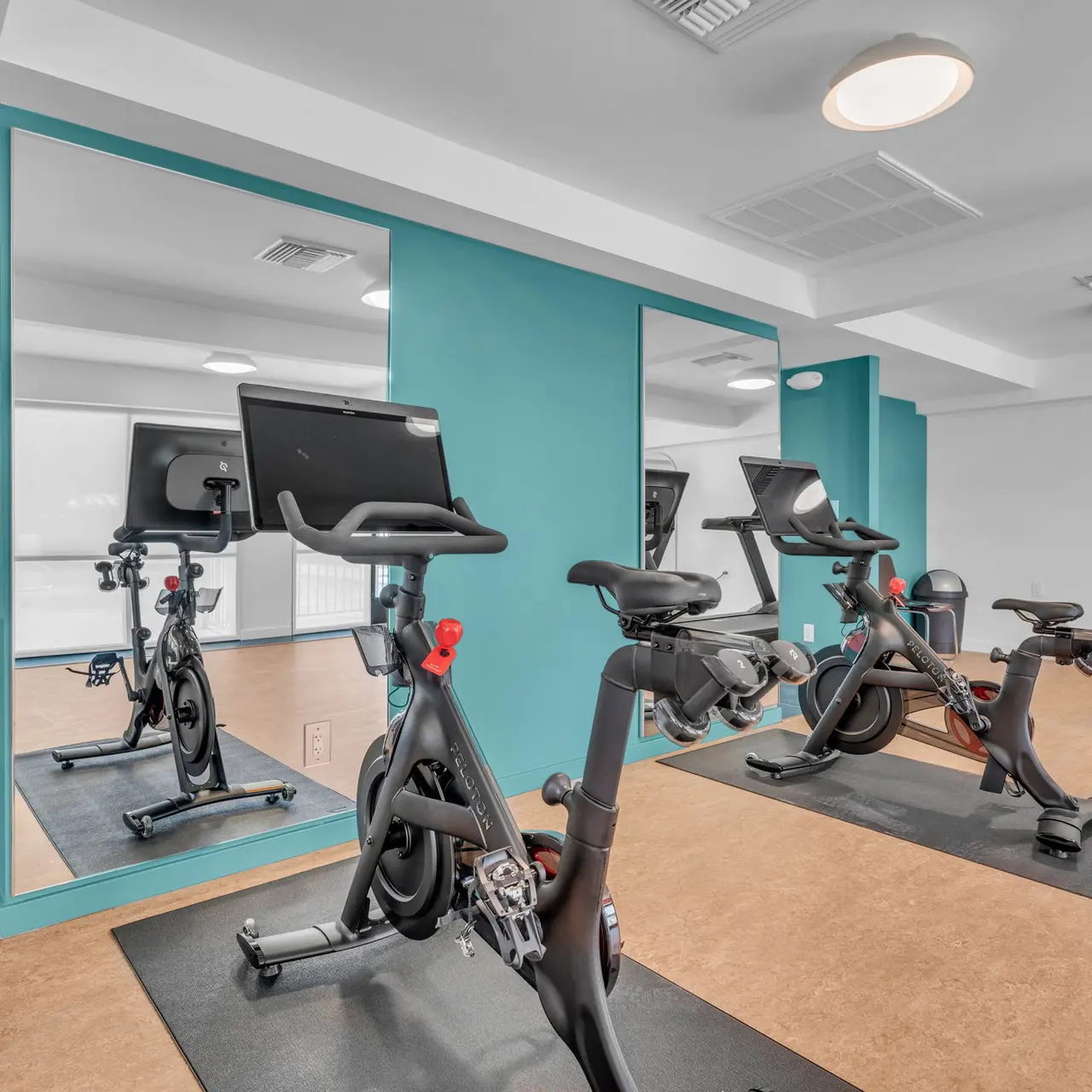 Echelon Echelon - Fitness, Working Out, Gym