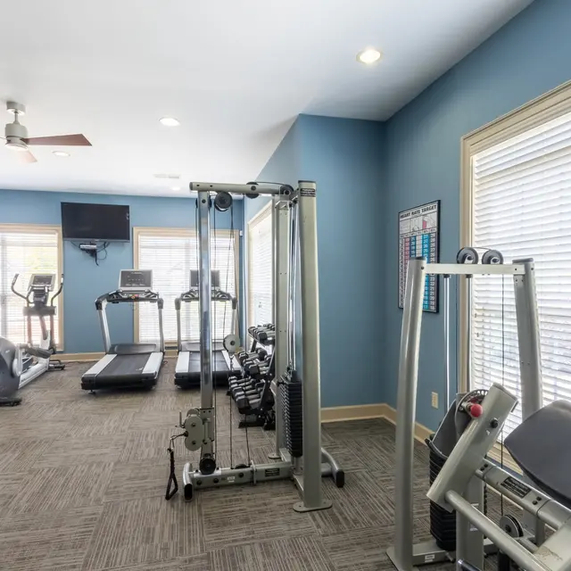 Summer Lake Summer Lake - Fitness, Working Out, Sport