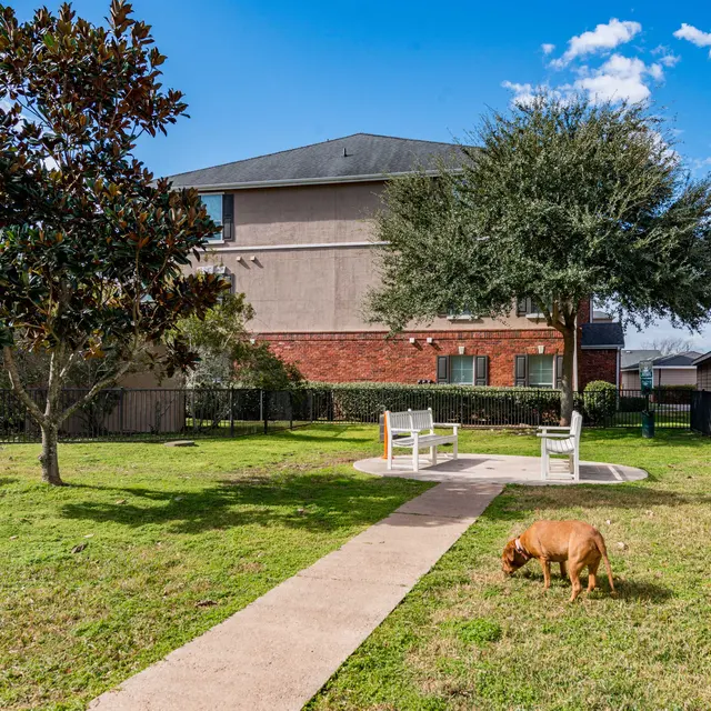 SYNC at Sienna Plantation - Plant