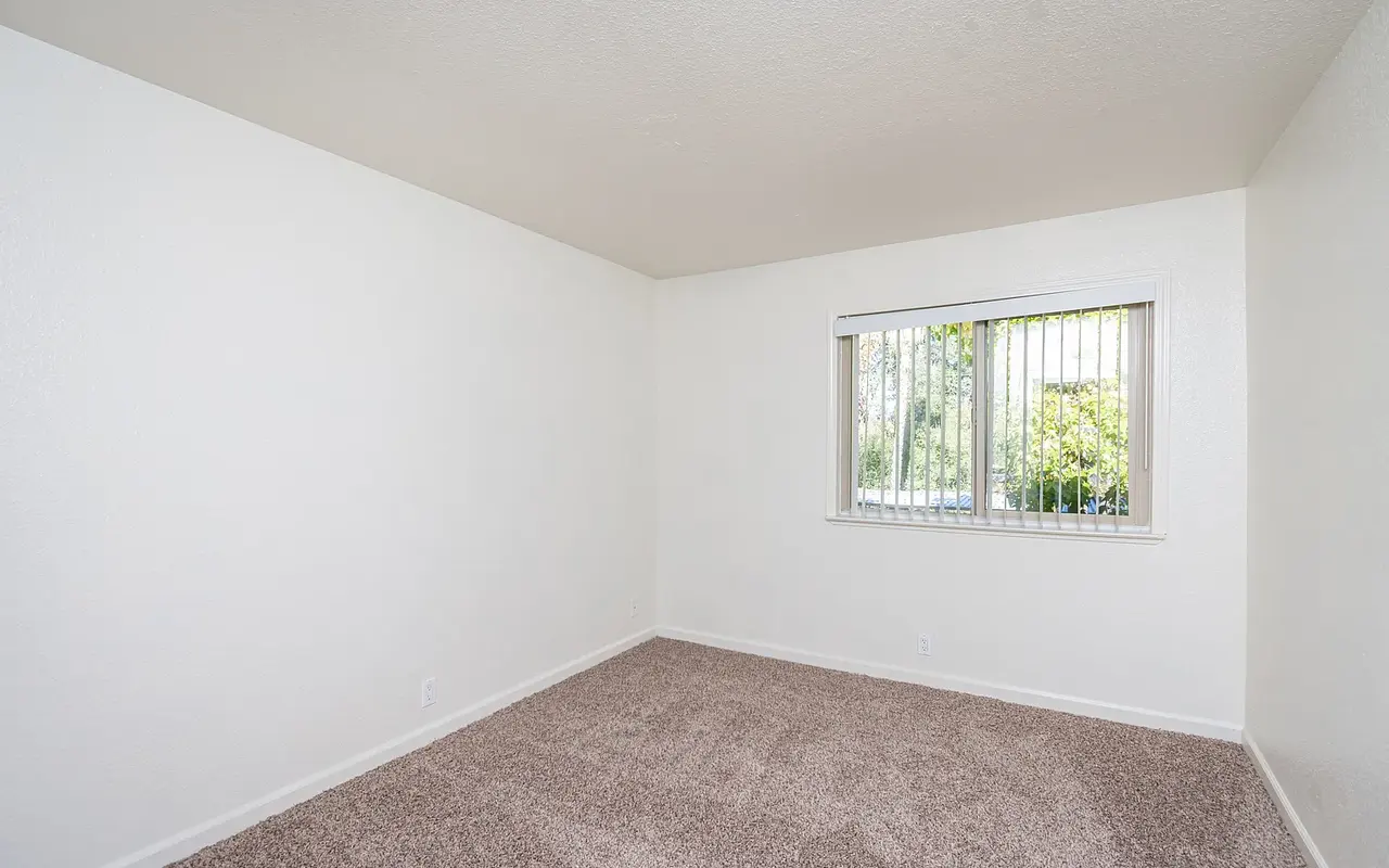 A minimalist empty room with beige carpet flooring and white walls, featuring a window with blinds allowing natural light.