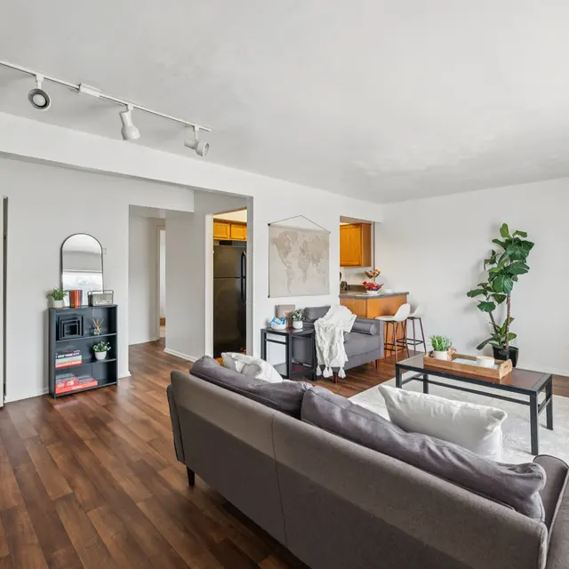 Stylish Modern Living Room A spacious modern living room featuring a gray couch, wooden floor, and a plant. A small dining area is visible in the background, along with a mirror and shelves.