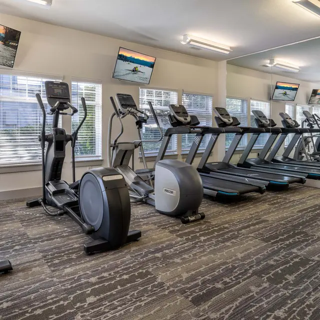 A modern gym area featuring various exercise equipment including treadmills, ellipticals, and stationary bikes, with large windows allowing natural light and several screens displaying scenic views.