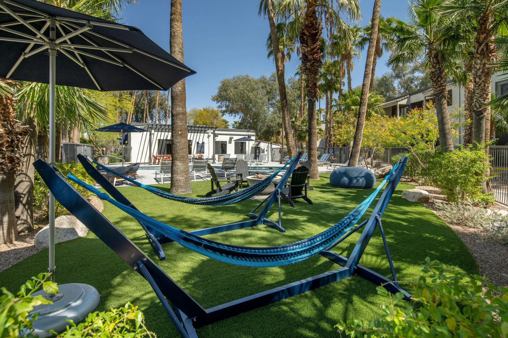 Tropical Hammocks by the Pool Two blue hammocks set in a tropical garden space with palm trees and a swimming pool in the background.