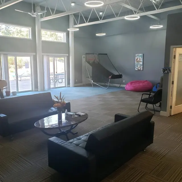 A spacious lounge area featuring black sofas, a glass coffee table, and large windows letting in natural light. There's a pink bean bag and a slanted lounge chair in the background.