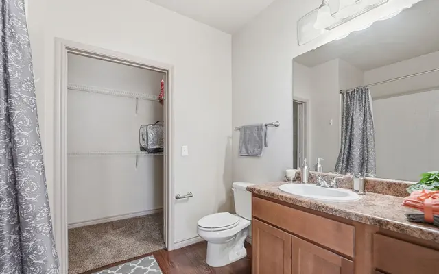 A modern bathroom featuring a toilet, a double sink vanity with brown wooden cabinets, a large mirror, and a shower area. A closet is visible on the left side, with a hanging laundry basket inside. There is a gray patterned rug on the floor and a gray shower curtain.