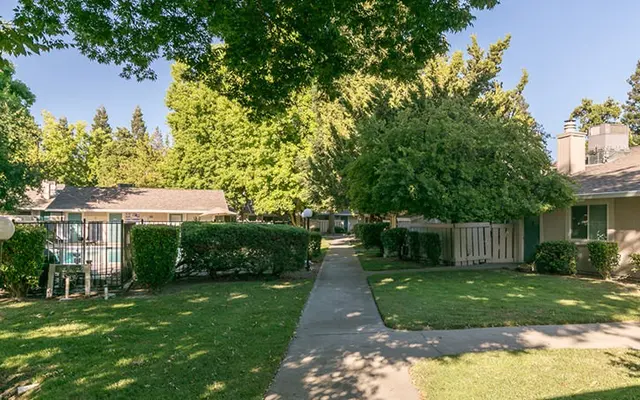 Riverbelle Park - Tree, Yard, Grass