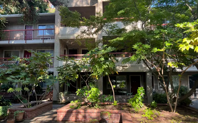 Terraces at Capitol Park - Garden, City, Plant