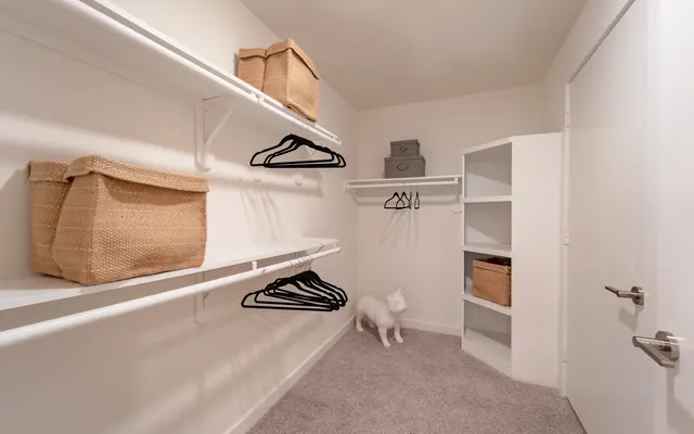 Co-Op Summer Street - Corner, Indoors, Walk-In Closet