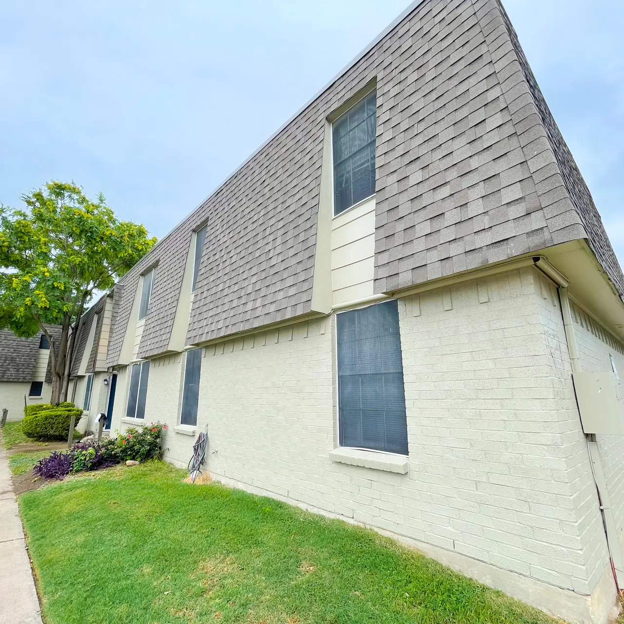 The Crossing - Grass, Plant, Path