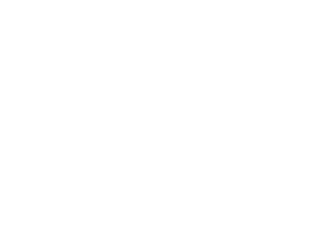 The Brixton