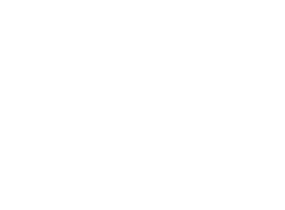 The Brixton