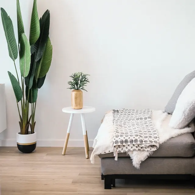 A modern living space featuring a stylish couch, a woven blanket, a plant, and a small side table with a potted plant.