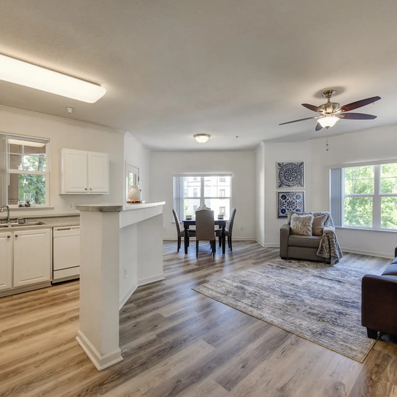 The Fremont Building - Ceiling Fan, Flooring