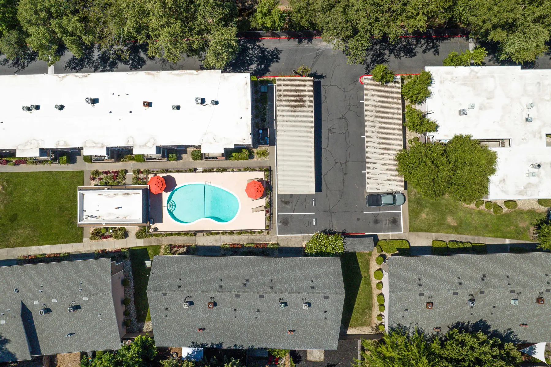 Creekside Oaks - Outdoors, Pool, Swimming Pool