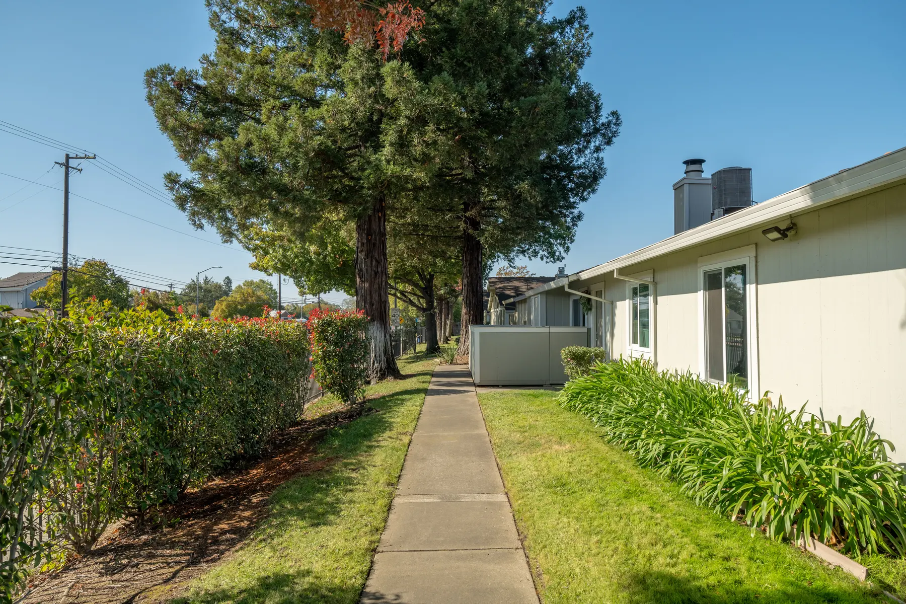 El Camino Place - Neighborhood, City, Path