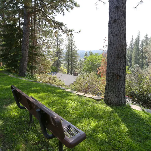 Berryhill - Bench, Furniture, Grass