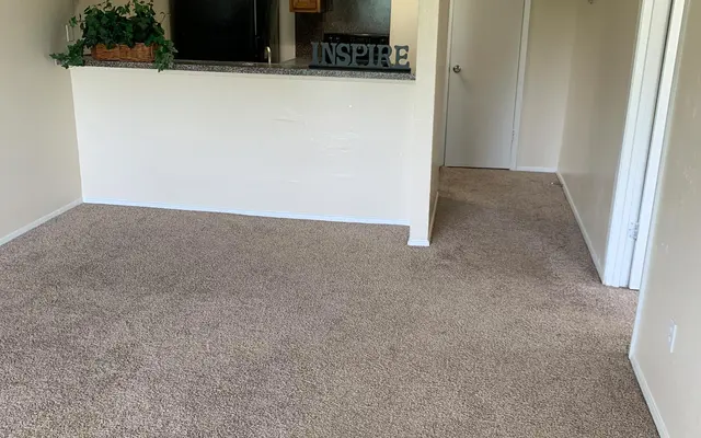 Langham Creek Apartments - Unit B Living Room Langham Creek Apartments - Rug