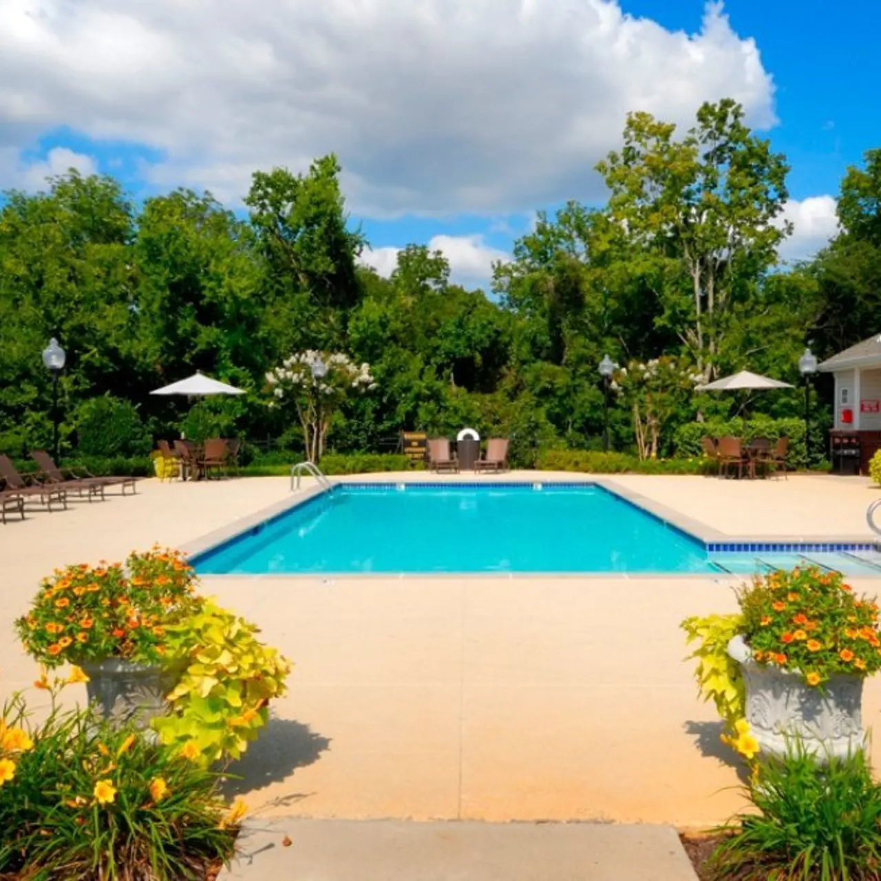 Waterford Landings Waterford Landings - Backyard, Outdoors, Villa