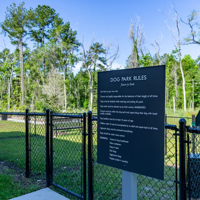 Rochester Park - Grass, Nature, Outdoors