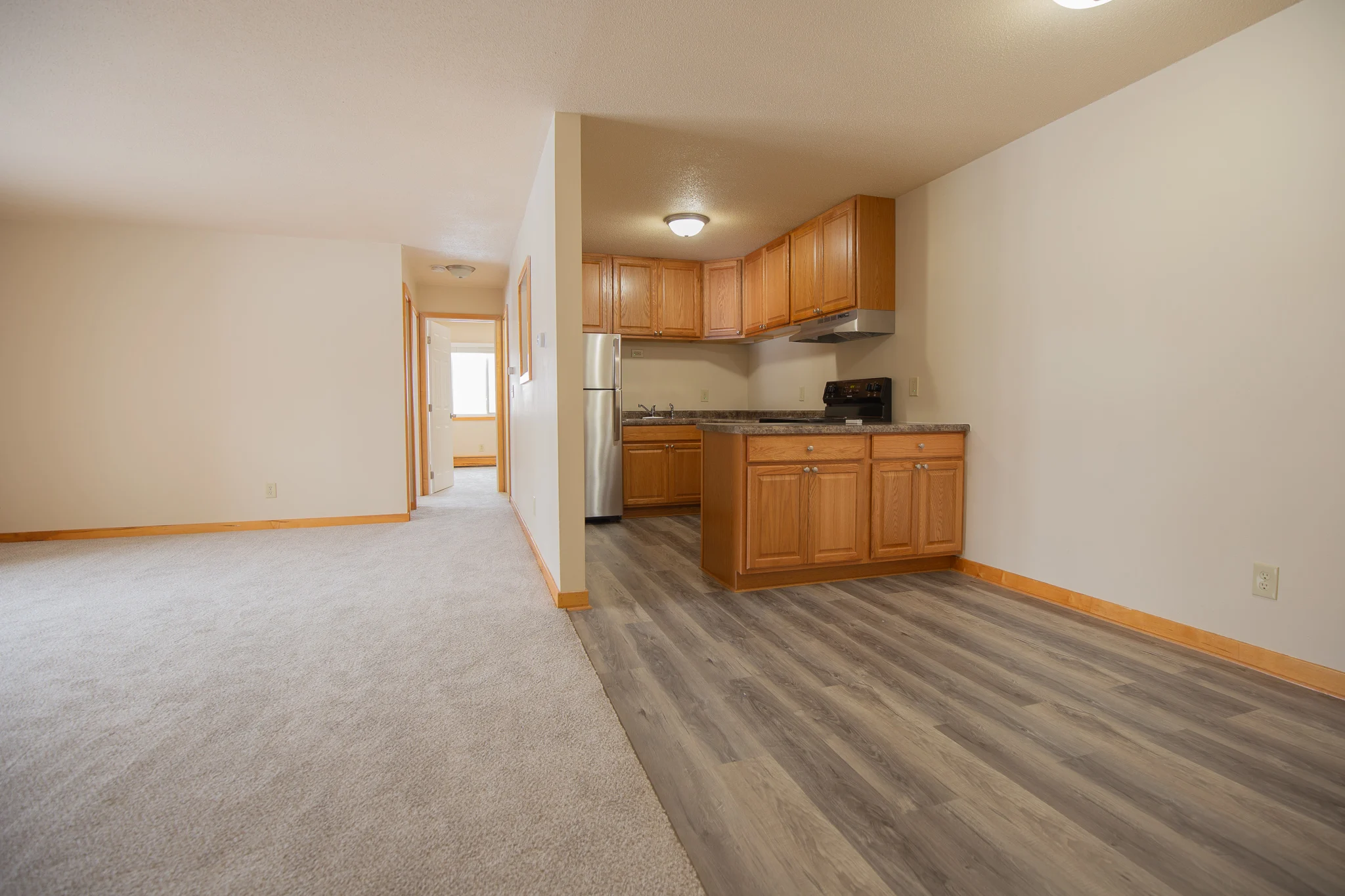 Interior view of a spacious apartment featuring a kitchen with wooden cabinets, a living area with carpeted flooring, and an open layout.