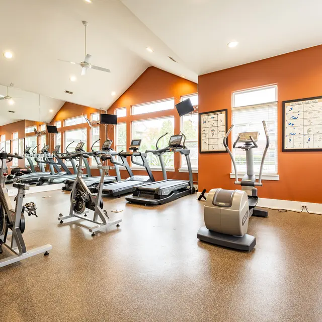 Modern Gym Interior Interior view of a modern gym with cardio machines and large windows.