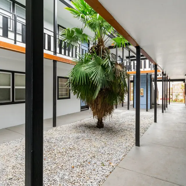 A view of an interior courtyard featuring a palm tree, surrounded by a walkway and partitioned by metal beams. The walls are white and there are several doorways leading to rooms.