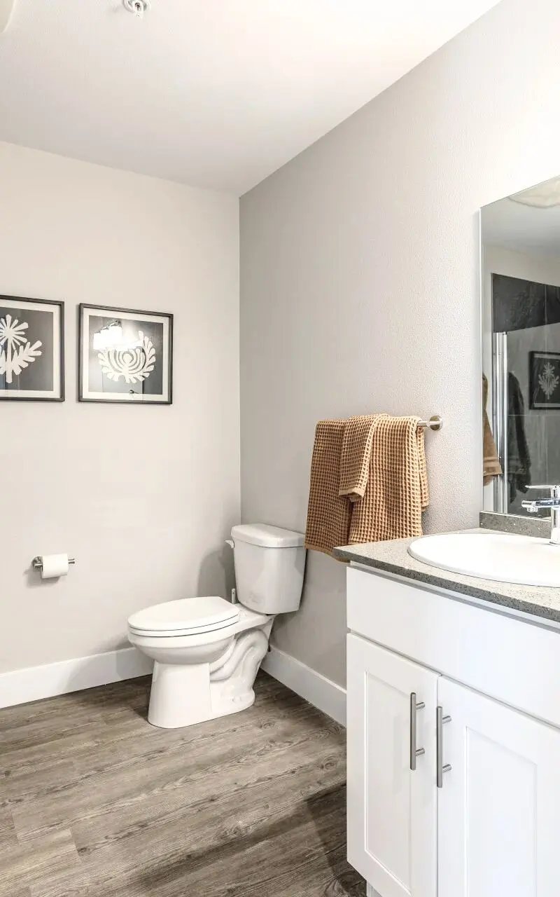 Decorated bathroom in an apartment, showcasing modern fixtures and tasteful design elements