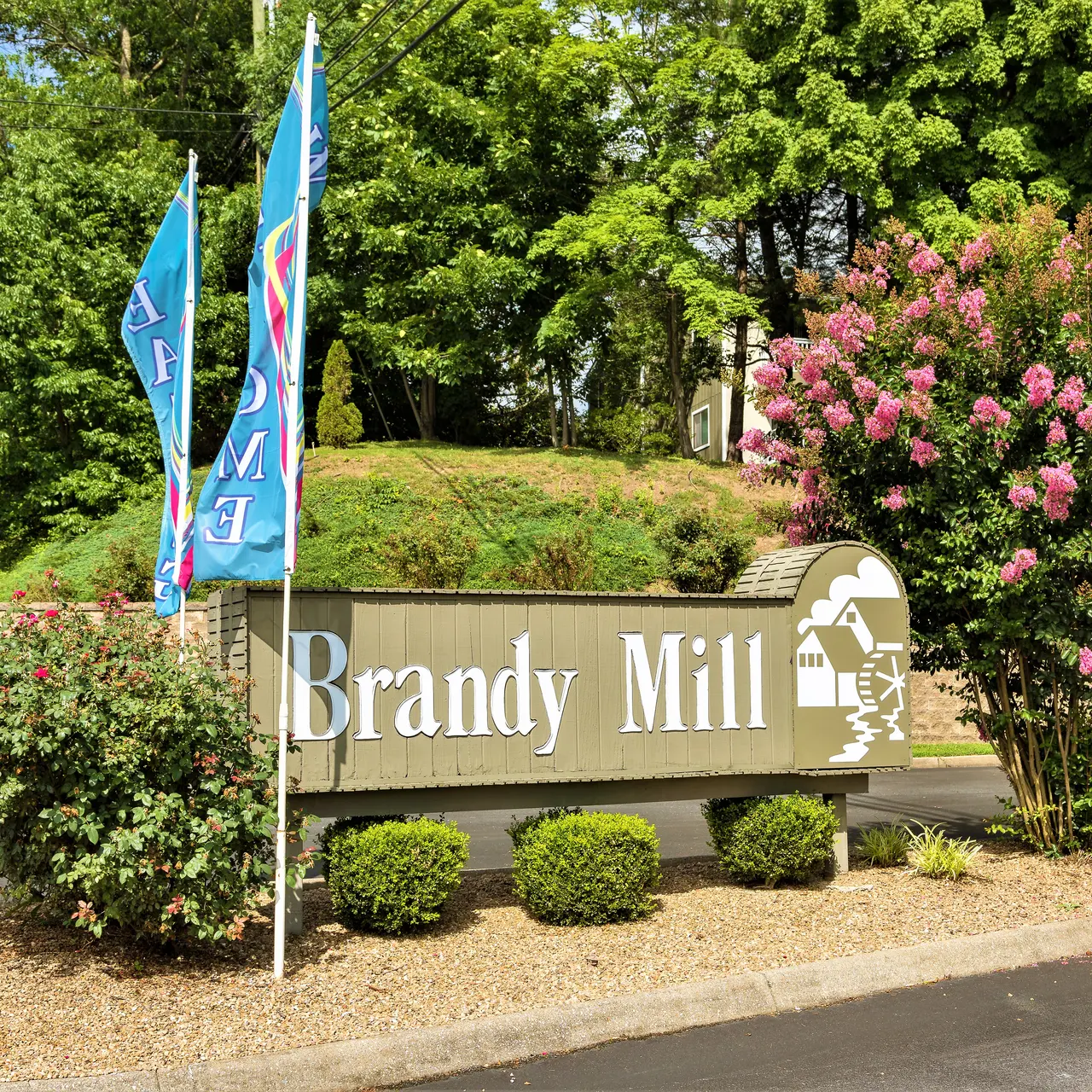 Brandy Mill - Outdoors, Garden, Plant