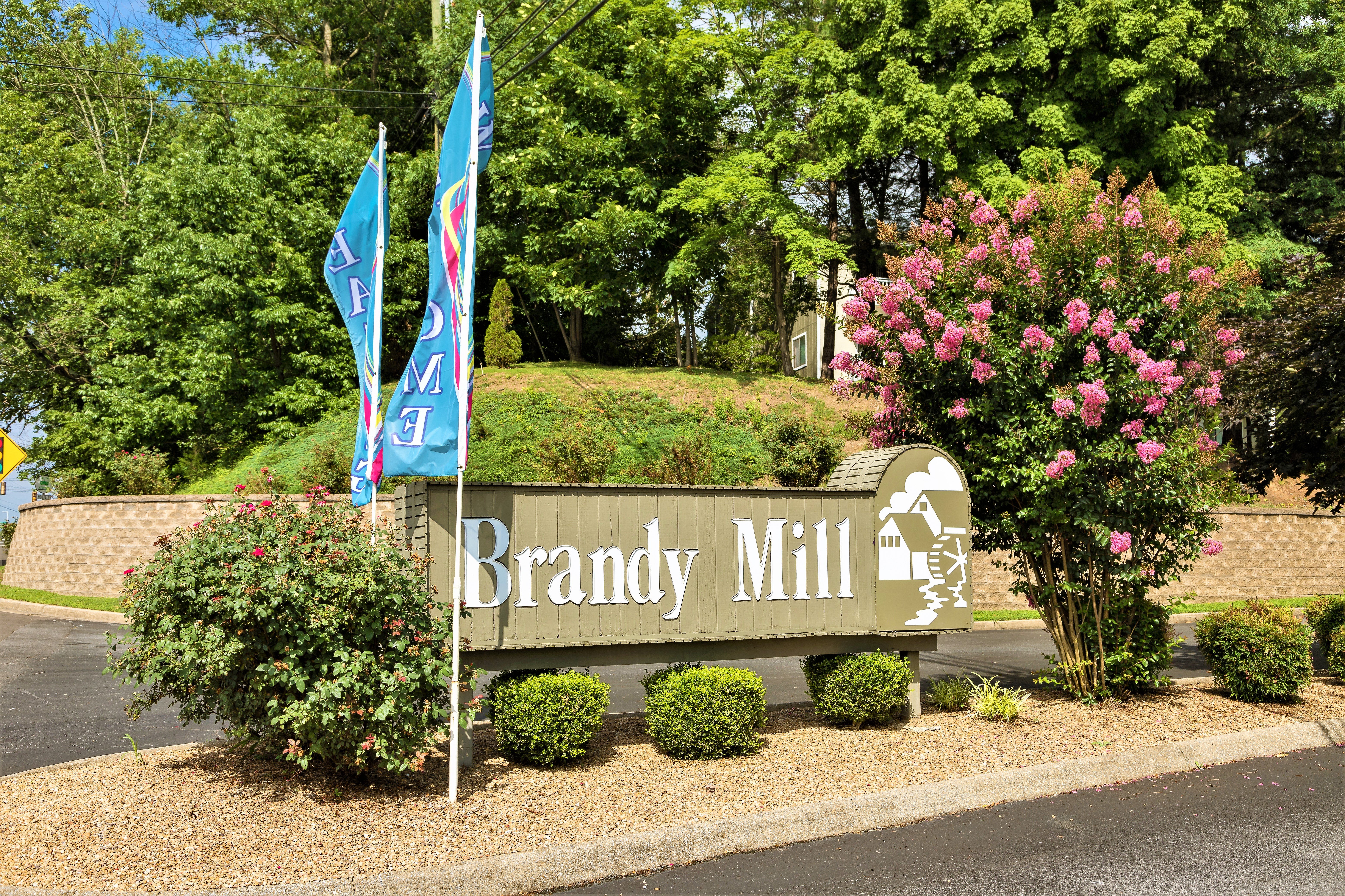Brandy Mill - Outdoors, Garden, Plant