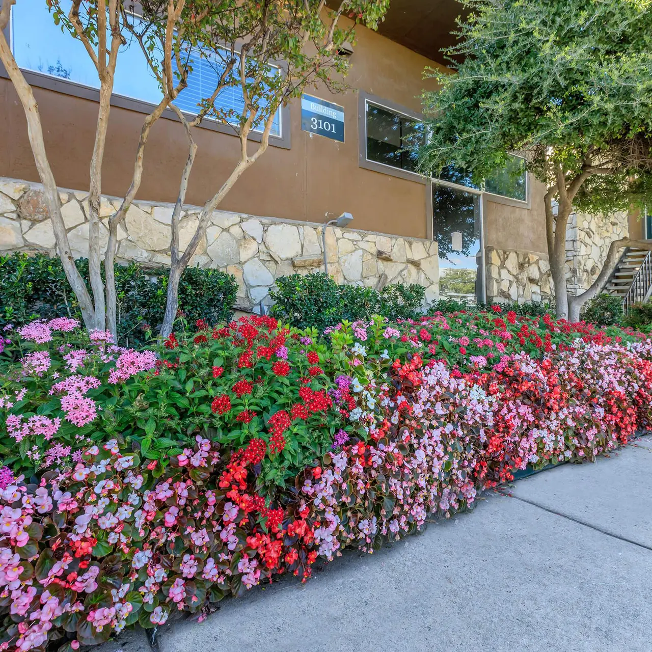 Stonehill Terrace - Vegetation, Backyard, Nature