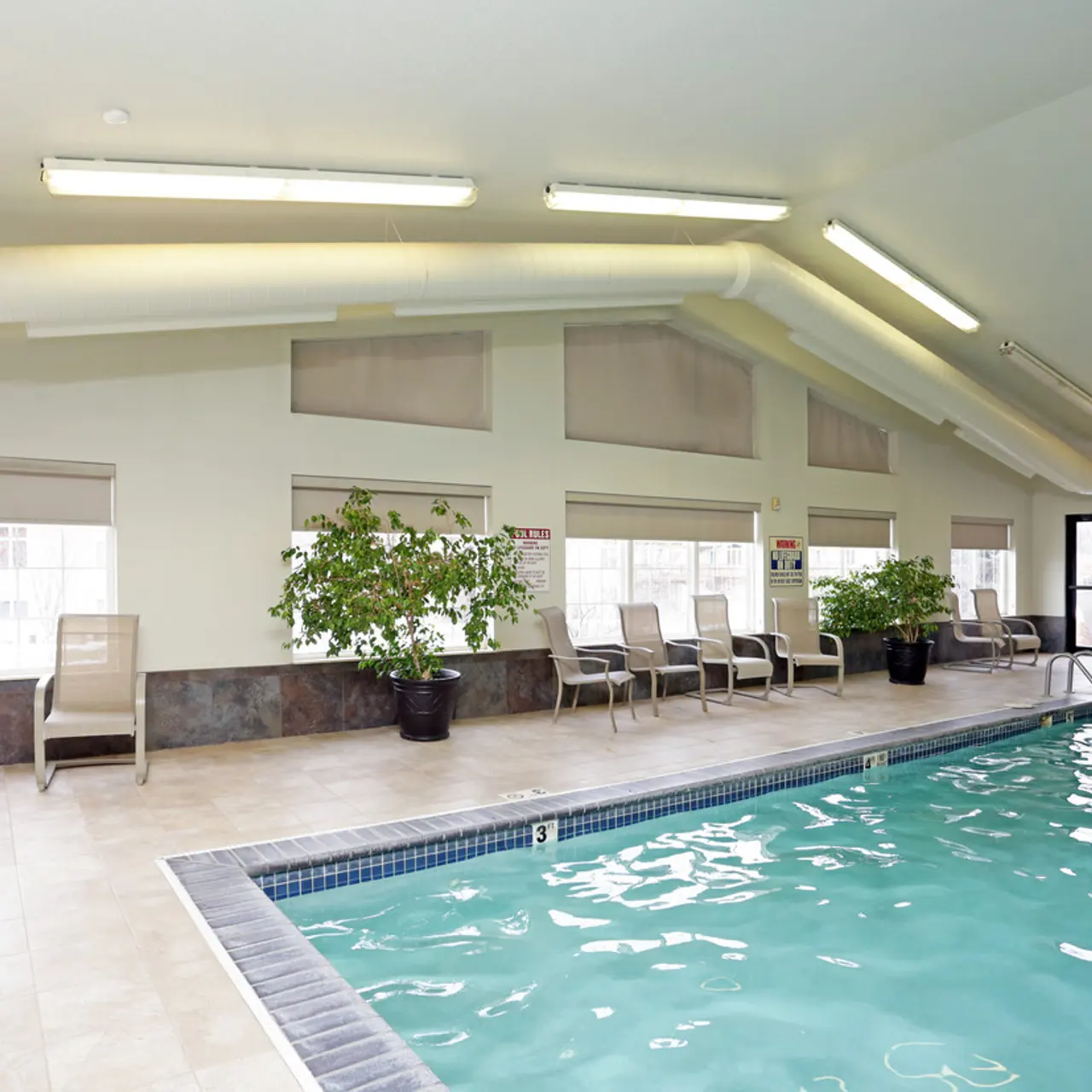 Diamond Valley Apartments - Swimming Pool