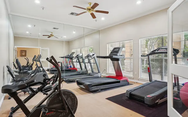 Villas of Mission Bend - Appliance, Ceiling Fan, Device