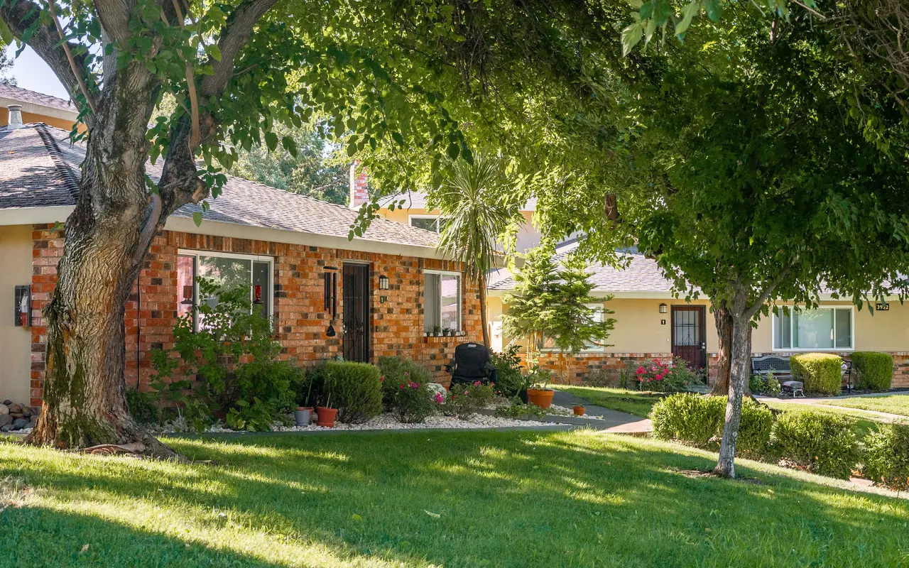 Queenston Plaza - Grass, Tree, Backyard