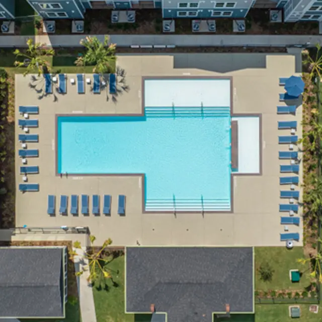 Lively at Cypress Creek - Pool, Water, Swimming Pool