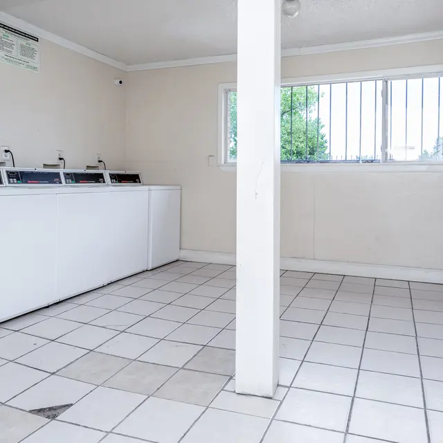 Las Lomas - Floor, Flooring, Appliance