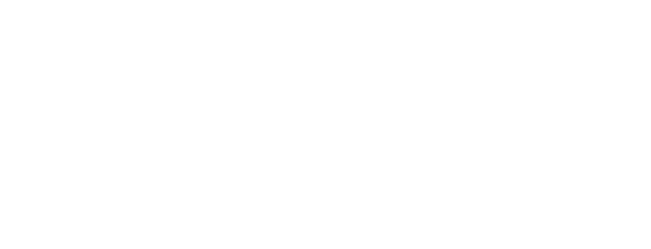 Celle Assets Corporate