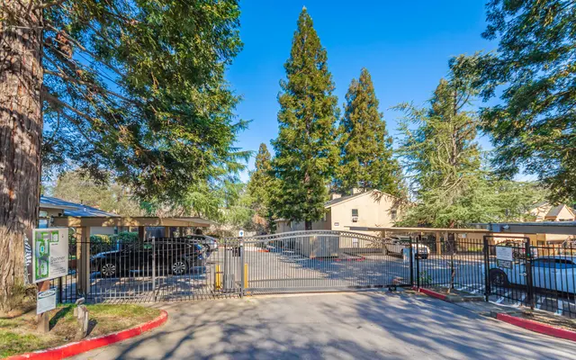 Donner at Fair Oaks - Nature, Outdoors, Scenery