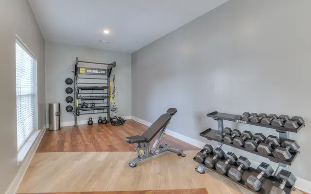 Waterleaf at Old Franklin