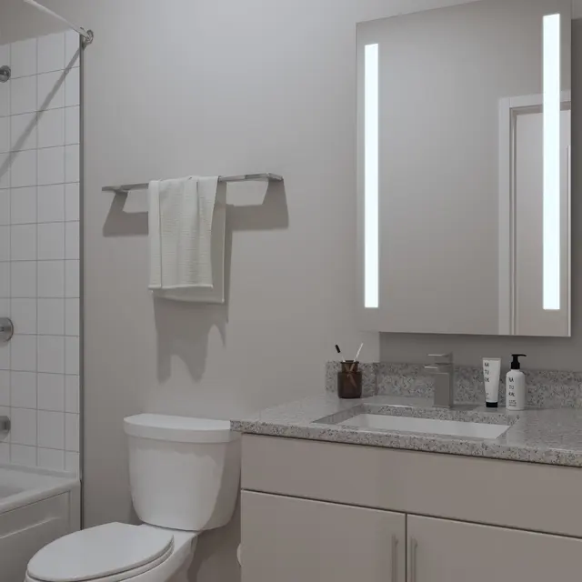 A modern bathroom featuring a bathtub with shower, a white toilet, and a granite countertop sink. The wall-mounted mirror has LED lighting, and there are towels and a potted plant on the vanity.