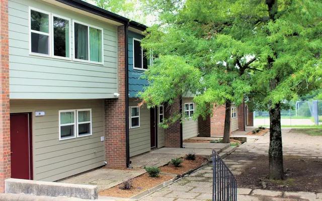 Mountain View Heights - City, Path, Plant