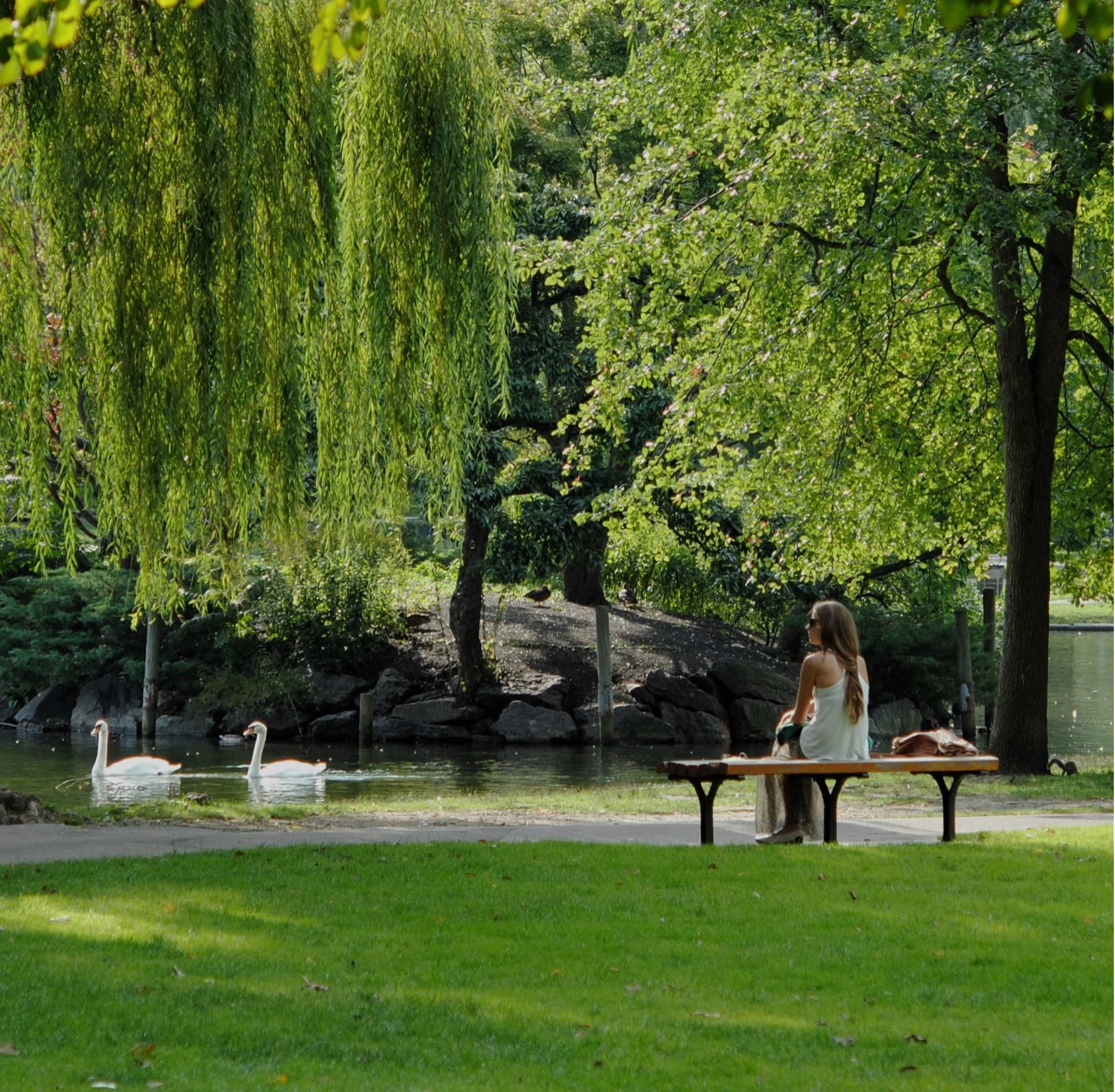 Bryten - Tree, Grass, Park