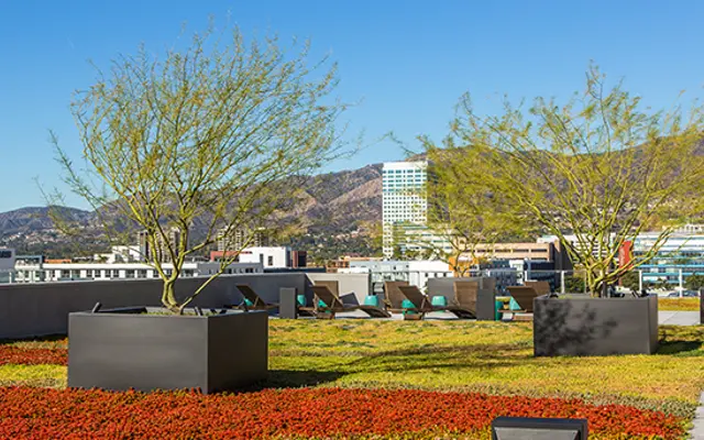 The Brand - Plant, Urban