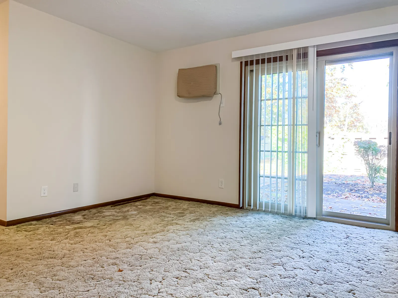 Colony Arms - Floor, Flooring, Indoors