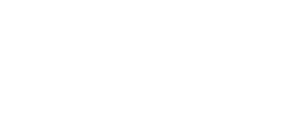 Hollow Tree Park