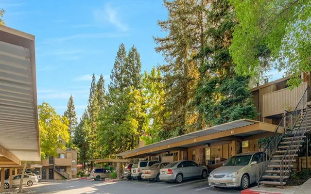 Donner at Fair Oaks - Car, Tree