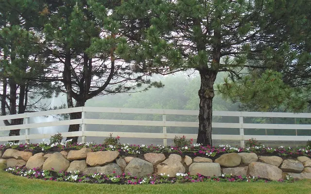 Polo Club Apartments - Grass, Backyard, Nature