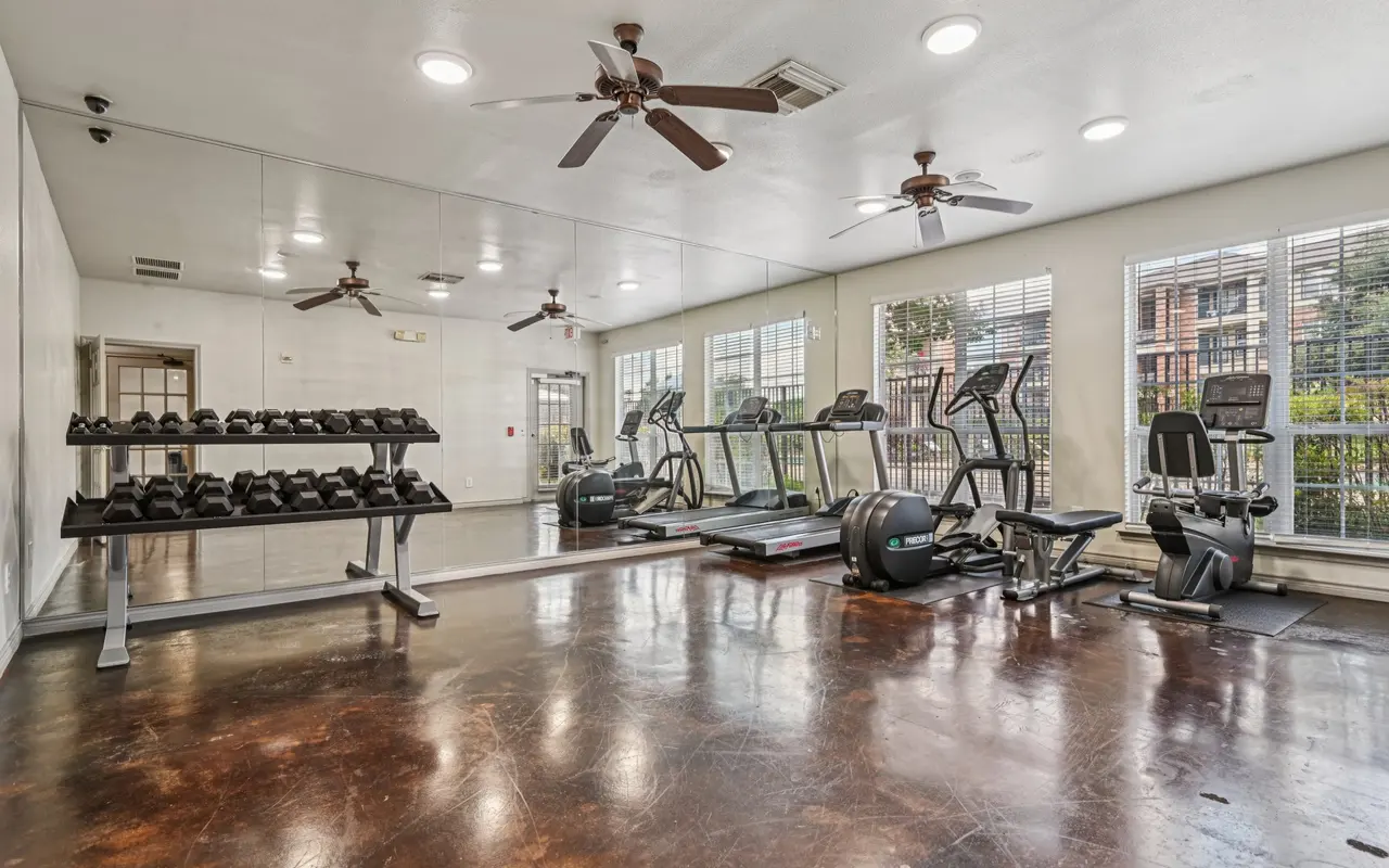 Interior view of a modern gym with workout equipment and large windows.